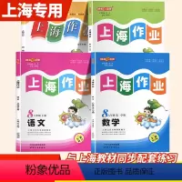 八年级上 语数英物(4本) 小学升初中 [正版]2024钟书金牌上海作业四年级上册数学一上二年级上三年级上四年级五年级上
