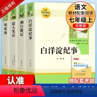 人教版14册]七八九年级上册+下册必读名著 [正版]猎人笔记 镜花缘 湘行散记白洋淀纪事七年级上册阅读书目必读书人民教育