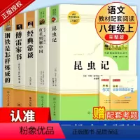 [人教版·14册]八年级上下册必读+选读名著 [正版]八上名著 红星照耀中国昆虫记钢铁是怎样炼成的傅雷家书经典常谈朱自清