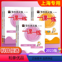 1下(语数英+增强版 全6册)2023版 小学通用 [正版]华东师大版一课一练二年级下册沪教版增强版上海一课一练一三四五