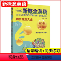 [正版]子金新概念英语青少版入门级b同步语法大全语法精讲+同步练习新概念青少版入门级AB课课语法专项训练新概念青少版语