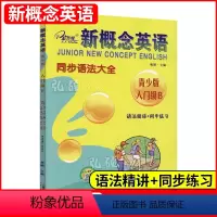 [正版]子金新概念英语青少版入门级b同步语法大全语法精讲+同步练习新概念青少版入门级AB课课语法专项训练新概念青少版语