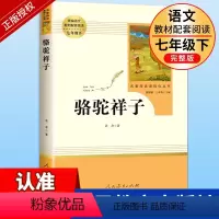 骆驼祥子 人民教育出版社 [正版]骆驼祥子原著老舍七年级下册人民教育出版社初中生必读课外书人教版初一七下课外阅读文学名著