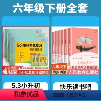 [全套9册]六年级下册+小升初复习真题 [正版]人教版 六年级下册阅读的课外书 鲁滨逊漂流记 汤姆索亚历险记 爱丽丝漫游