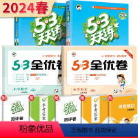 [天天练+全优卷4本套装]语文人教+数学人教 二年级下 [正版]24新版53天天练二年级上册下册语文人教版数学全套苏教版