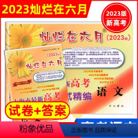 高考模拟卷 语文 试卷+答案 上海 [正版]2023版灿烂在六月上海高考真卷语文2023高三语文真题试卷集近16年历年真
