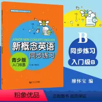 [正版]新概念英语青少版入门级B同步练习 小学一二三年级英语初学者入门辅导材料 零基础自学英语词汇语法专项训练书籍 同