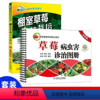 [正版]草莓种植栽培技术大全书籍棚室高效栽培病虫害诊治图册防治教程种育苗栽培和精细化管理的资料教程病农业图书温室书怎么
