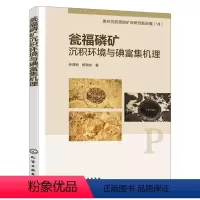 [正版]瓮福磷矿沉积环境与碘富集机理