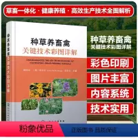 [正版]种草养畜禽关键技术彩图详解