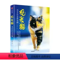 [正版]观复猫 书中自有黄金猫马未著 猫馆长与你讲故事说文化涨知识 中国古籍中的神秘猫文化+观复猫的软萌日常