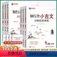 [知行合 小古文] 一年级下 [正版]2024新版 知行合小古文主题拓展阅读训练小学一年级二年级下册三年级四年级五年级六