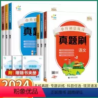 语文 小学升初中 [正版]2024新版 一起同学小升初总复习真题刷小学生六年级上册下册语文数学英语小学升初中试卷必刷题真