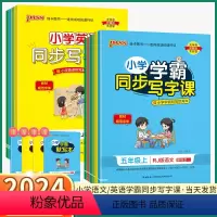 语文-人教版 二年级下 [正版]2024版 PASS绿卡图书小学学霸同步写字课 小学生语文英语一年级二年级三年级四年级下
