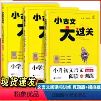 [小升初 文言文阅读与训练] 小学通用 [正版]2024新版 小古文大过关小升初文言文阅读与训练真题版 小学一年级二年级