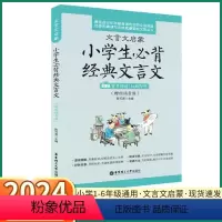 小学生经典文言文 小学通用 [正版]2024新版 文言文启蒙小学生经典文言文一年级二年级上三年级四年级五年级下六年级