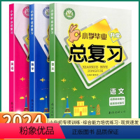 语文-毕业总复习 小学通用 [正版]2024新版 小学毕业升学总复习名校培优一二三四五六年级上册下册语文数学英语人教版小