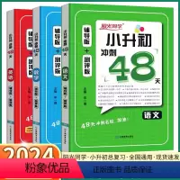 3册]语/数/英 小学升初中 [正版]2024新版 阳光同学小升初冲刺48天系统总复习语文数学英语人教版辅导版+测评版全