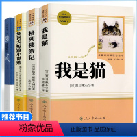 4本[九年级下册推荐]我是猫+格列佛游记+契坷夫小说+围城 [正版]九年级下册选读书我是猫围城契诃夫短篇小说格列佛游记原