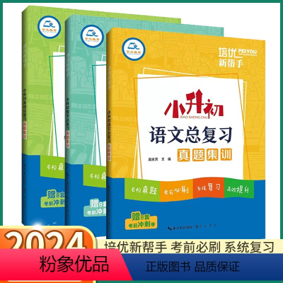 [语文] [正版]2024新版 小升初语文总复习特训 小学一1二2三3四4五5六6年级上册下册数学英语人教版通用培优新帮