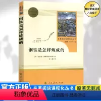 [八年级下册必读]钢铁是怎样炼成的 [正版]八年级下册书钢铁是怎样炼成的原著无删减完整版人教版初中语文阅读文学世界名著初