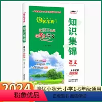 语文知识集锦 小学通用 [正版]2024新版 培优宝典 知识集锦语文升级版小学一1二2三3四4五5六6年级上册下册人教版