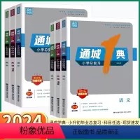 语文-通用版 小学升初中 [正版]2024 通城1典小学总复习小升初语文数学英语人教版六年级升初中毕业升学系统总复习知识