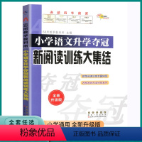 新阅读训练大集结 小学通用 [正版]2023版小学升学夺冠新阅读训练知识大集结一1二2三3四4五5六6年级上册下册小学生