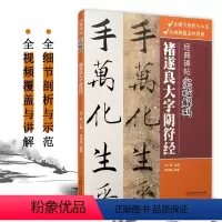 [正版]经典碑帖实临解码 褚遂良 大字阴符经 楷书毛笔书法字帖讲解例字技法解析 成人初学者临摹字帖附通篇实临大字阴符经