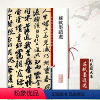 [正版]满200减30苏轼墨迹选(彩色放大本)基础实战临摹练习技能技法从入门到精通繁体旁注爱好者碑帖 上海辞书出版社
