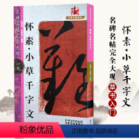 [正版]满2件减2元名碑名帖完全大观怀素小草千字文19大家书院系列毛笔字帖集字草书初学毛笔字帖临习笔法解析