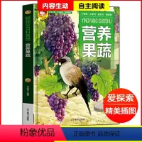 营养果蔬 [正版]精装硬皮绘本 营养果蔬 植物探索百科全书 3-6-8岁儿童植物大百科幼儿园小学生童科普绘本故事书蔬菜水