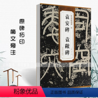 [正版]满2件减2元汉袁安碑袁敞碑历代碑帖精粹薛元明篆书毛笔书法练字帖成人学生练习临摹技法书写练字原碑原帖古帖安徽美术