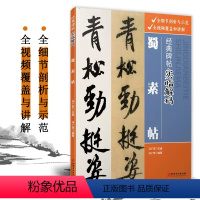 [正版]经典碑帖实临解码 蜀素帖 毛笔软笔行书入门临摹碑帖实临字帖 用笔结体章法解码概说释例 配二维码视频 江西美术出