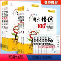 数学同步培优专题100分 专题特训 小学六年级 [正版]全脑数学小学数学思维解密同步培优专题100分专题特训一二三四五六