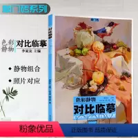 [正版]2015美术敲门砖色彩静物对比临摹何玉凯董少娟著 水粉色彩静物组合照片对应临摹写生高考艺考联考美术书籍