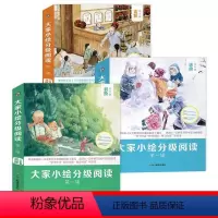 大家小绘分级阅读[全19册] [正版]大家小绘分级阅读全套19册初阶进阶高阶小学生三四五六年级课外阅读书籍适合6-12岁