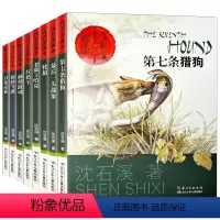 沈石溪画本(全套) [正版]沈石溪画本第一辑全套8册动物小说系列全集第七条猎狗后一头战象白象家族红奶羊非注音版五年级六年