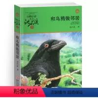 和乌鸦做邻居 [正版]和乌鸦做邻居沈石溪小学四年级五年级全集全套书浙江少年儿童出版社非注音版完整版动物小说大王品藏书系课