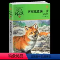 再被狐狸骗一次 [正版]再被狐狸骗一次沈石溪小学四年级五年级全集全套书浙江少年儿童出版社非注音版完整版动物小说大王品藏书