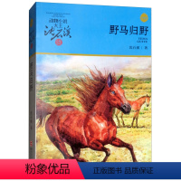 野马归野 [正版]野马归野沈石溪小学四年级五年级全集全套书浙江少年儿童出版社版完整版动物小说大王品藏书系小学生课外阅读适