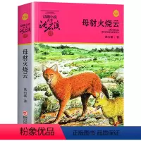母豺火烧云 [正版]母豺火烧云升级版动物小说沈石溪品藏书系小学三四五六年级课外阅读书籍动物小说大王品藏书系生课外阅读适用