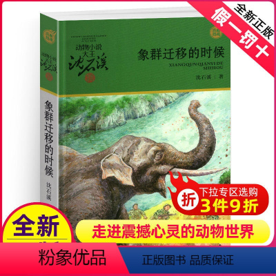象群迁移的时候 [正版]象群迁移的时候沈石溪小学四年级五年级全集全套书浙江少年儿童出版社非注音版完整版动物小说大王品藏书