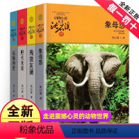 [正版]沈石溪动物小说全四册动物小说大王 残狼灰满 野犬女皇 象母怨 兵猴传奇4册 儿童读物10岁15兵猴(大林莽动物