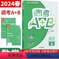六年级下 [正版]2024年调考生调考a十b六年级下数学北师大版 成都市小升初名校分班考试真题练习小学调考A+B六年级下
