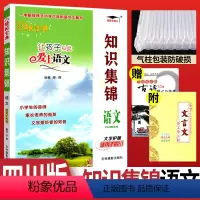 语文 小学六年级 [正版]小学语文知识集锦四川专版 小升初知识大集结培优宝典让孩子从此爱上语文 小学生四五六年级语文重点