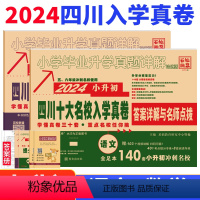 [四川入学真卷300套]语文+数学 小学升初中 [正版]小升初真卷2024四川十大名校入学真卷语文数学重点名校招生分班真