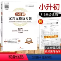 [正版]小升初文言文模块专训 小学五六年级文言文阅读与训练练习册走进名校语文阅读理解专项训练书 小学生经典书籍课内外小