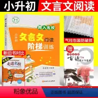[正版]跨入走进名校小升初文言文阅读阶梯训练 五六年级小学文言文阅读与训练考试真题练习语文小升初阅读理解专项训练书 成