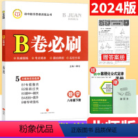 八年级下 [正版]北师大版2024春B卷必刷八年级下册数学思维专题强化训练初中8年级数学辅导书 b卷必刷八下数学B卷狂练